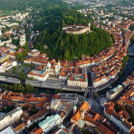 Mary Daire Ljubljana